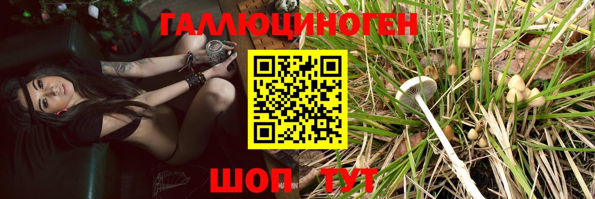 Галлюциногенные грибы MAGIC MUSHROOMS  Вход с VPN  как найти закладки  Апшеронск  Псилоцибиновые грибы Psilocybine cubensis 